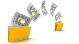 Document sharing, Project execution