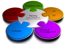 Project execution, Project Planning