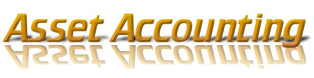 Asset accounting management services, Tax return preparation services