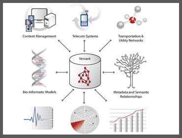Free Database evaluation, Custom Reports Services